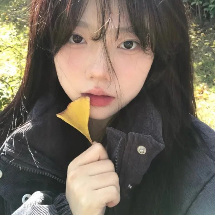 懵懵哒爱情